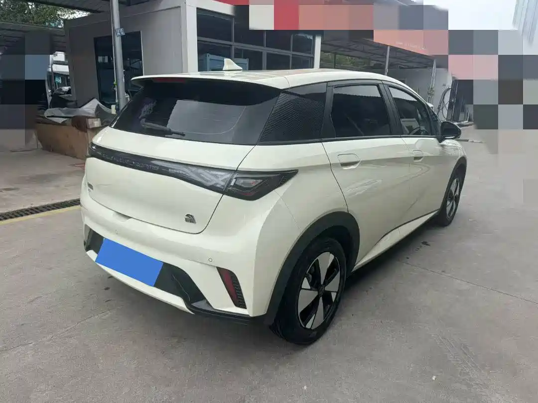 Фото 8 - BYD Dolphin