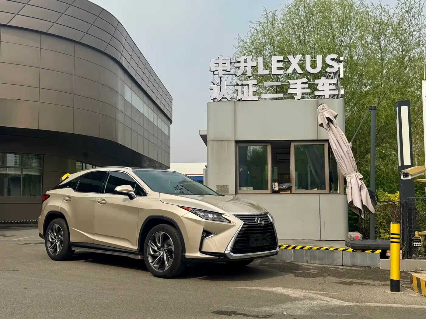 LEXUS RX