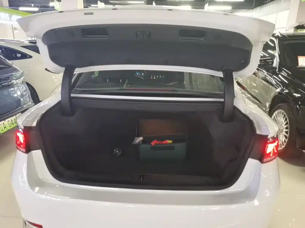 Geely Borui PHEV 2020 2021 1.5T ePro Leading Glory Edition
