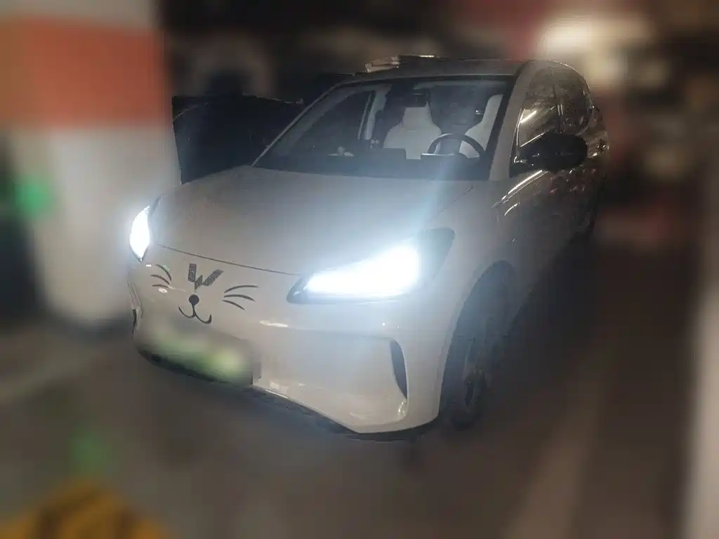 Wuling Motors Wuling Binguo PLUS 2025 2024 Model 330km 5-Seater