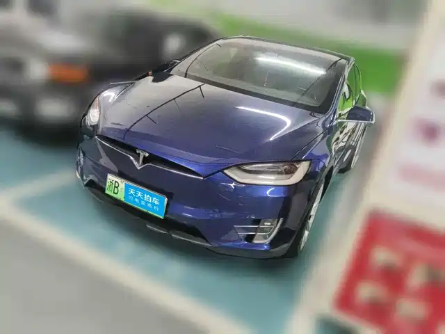 Tesla Model X 2019 Long Range Version — фото 1