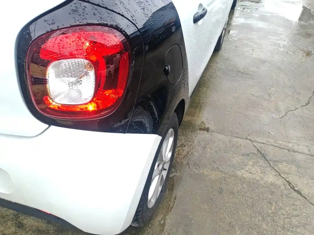 smart forfour 2019 2018 1.0L 52kW Agile Edition