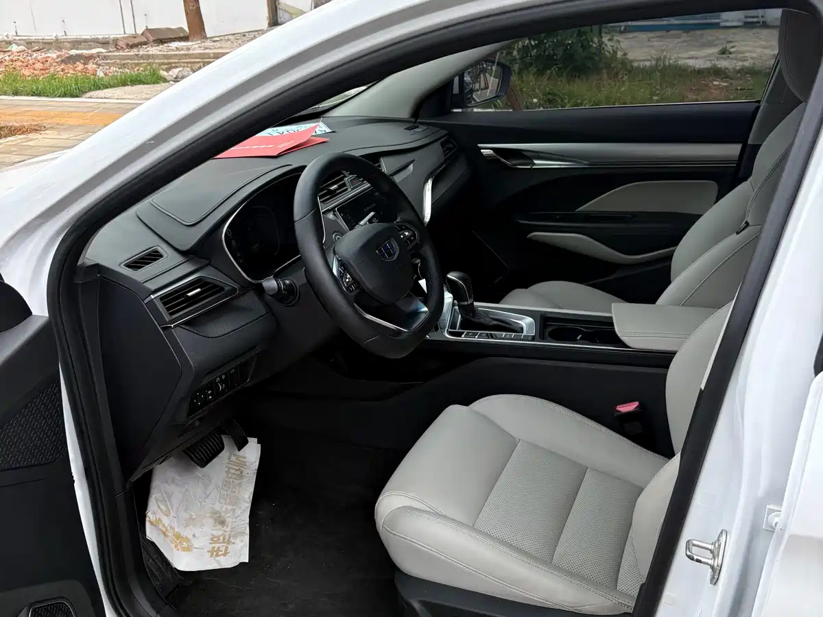 Фото 4 - Geely Binrui