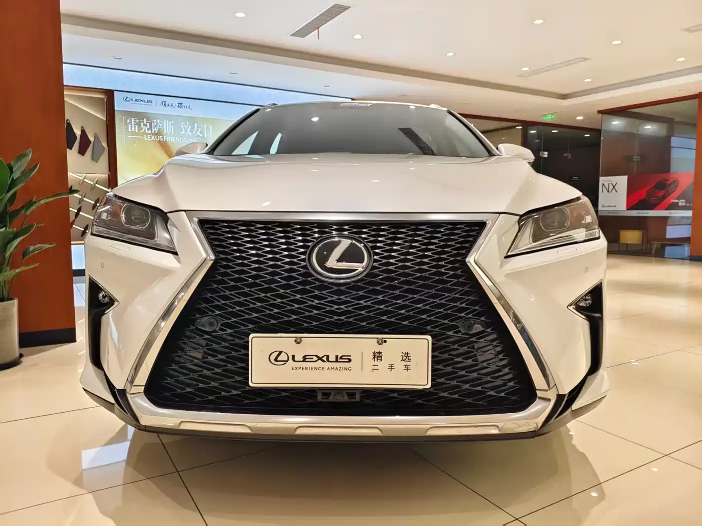 Lexus RX 2016 300 2WD Elite Edition (China V) фото 2