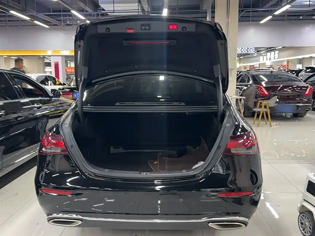 Mercedes-Benz E-Class 2021 Facelift E 300 L Luxury фото 14