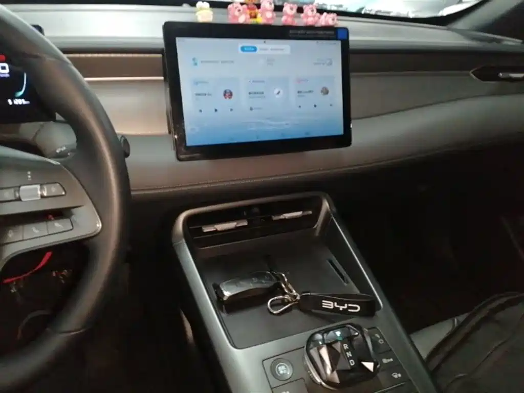 BYD Qin PLUS 2025 DM-i Smart Drive 55KM Leader фото 13