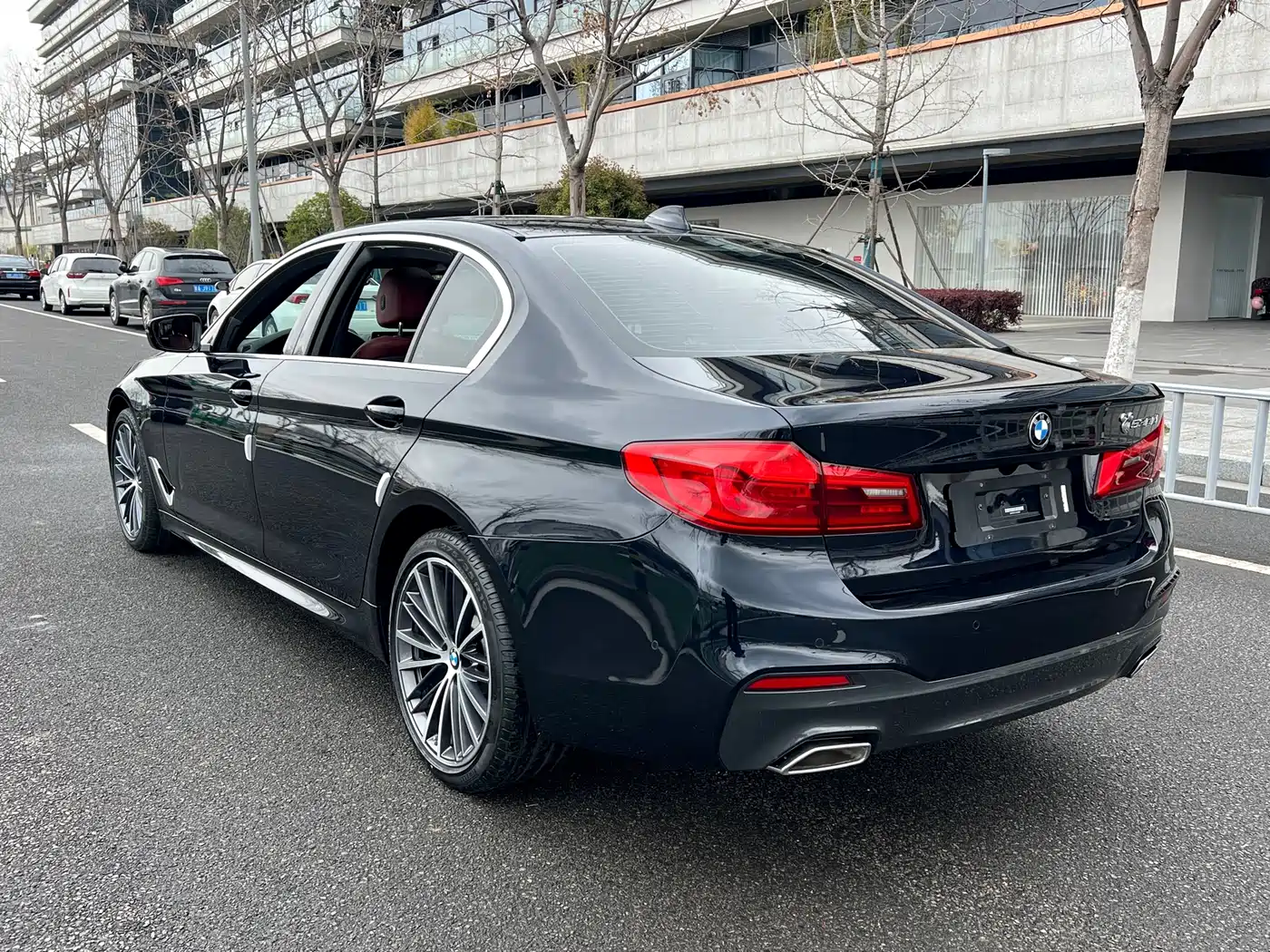 BMW 5 Series 2020 530Li Leading M Sport Package фото 15