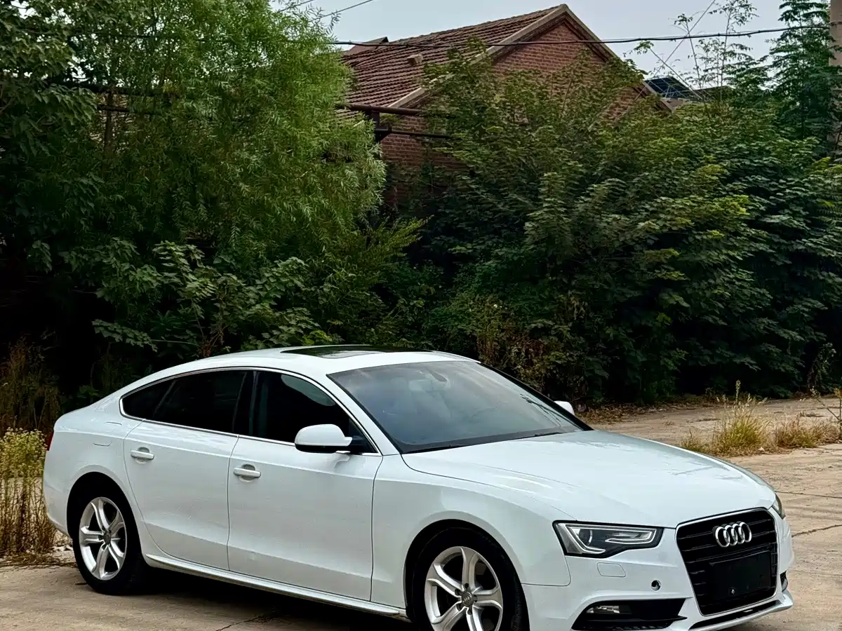 Фото 10 - Audi A5 (Import)