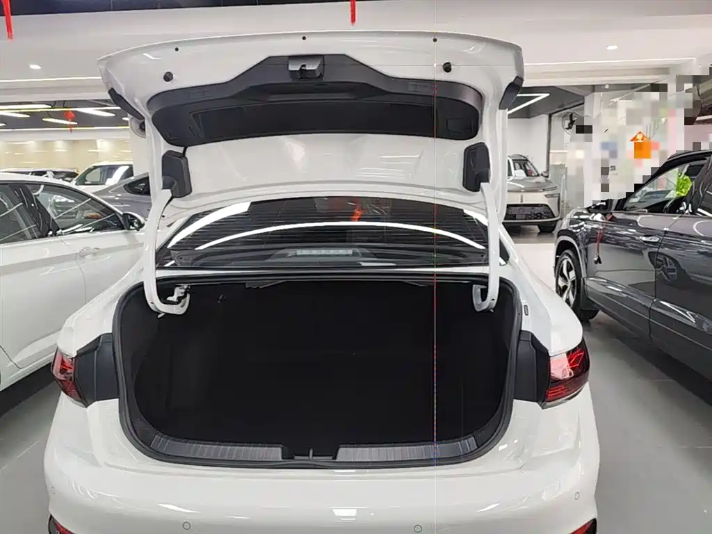 Volkswagen Sagitar 2025 300TSI DSG Surpass Edition фото 19