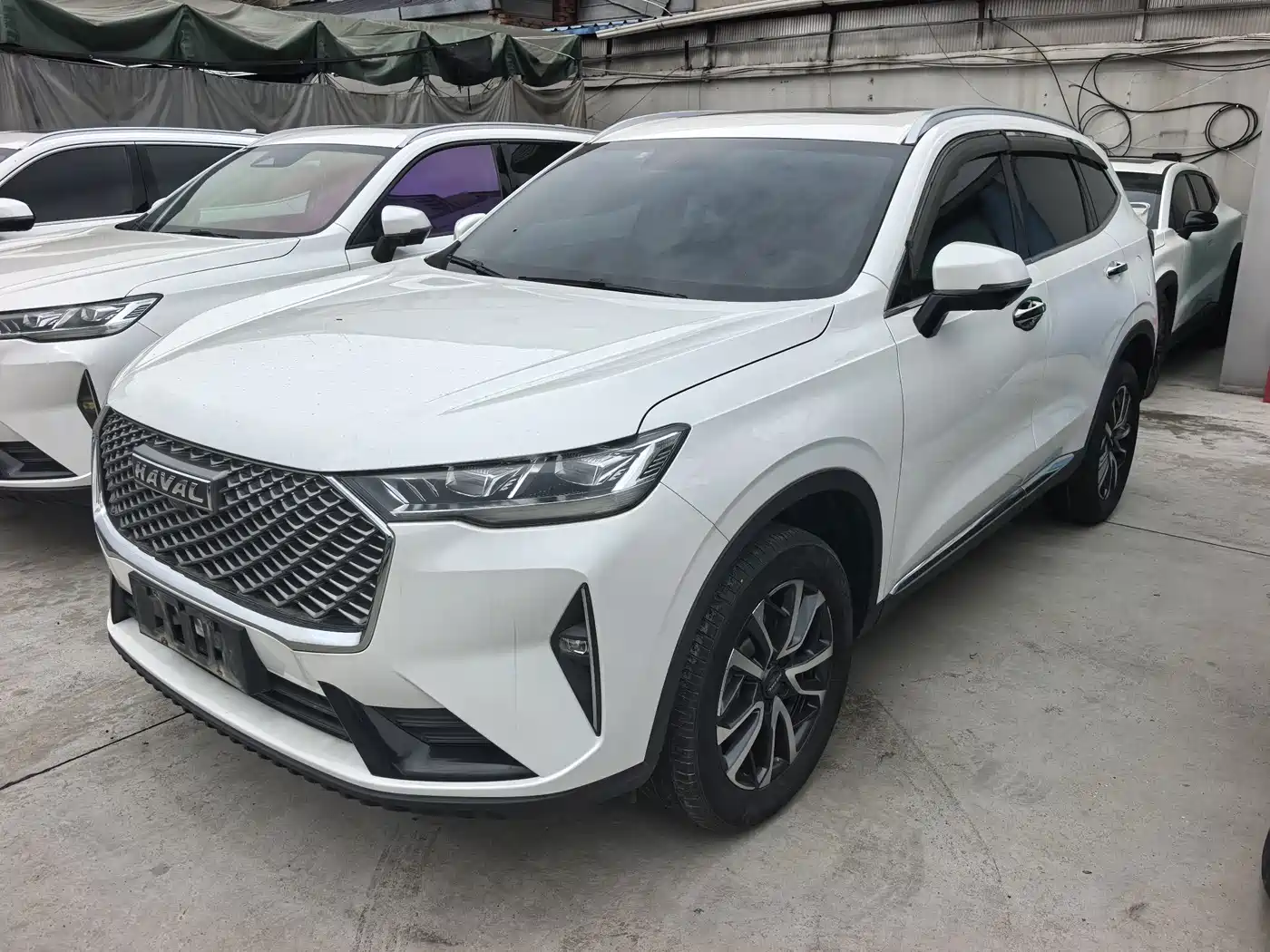 Haval H6 2022 — пригон из Китая