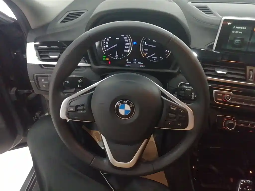 BMW X2 (Import) 2019 sDrive20i M Off-Road Package China VI фото 11