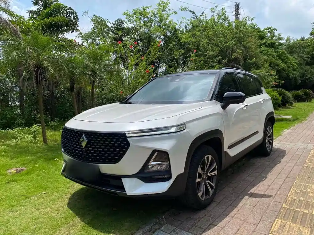 Baojun RS-5 2019 2019 1.5T CVT Intelligent Driving Control Flagship Edition China V