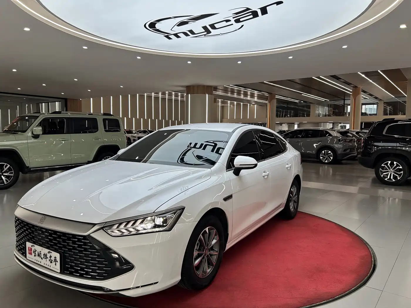 BYD Qin PLUS 2024