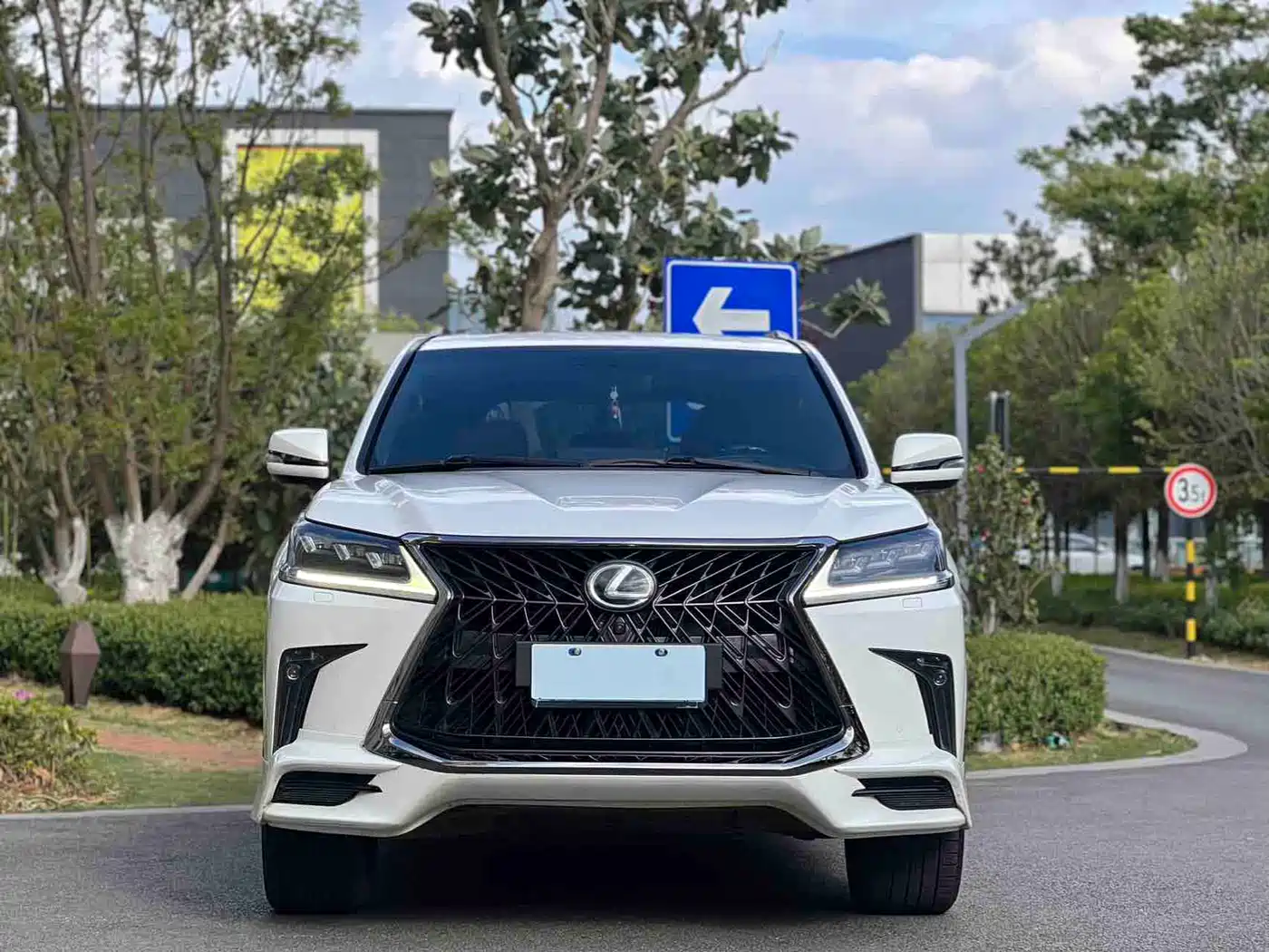 Lexus LX 2016 570 Luxury Premium Edition фото 3