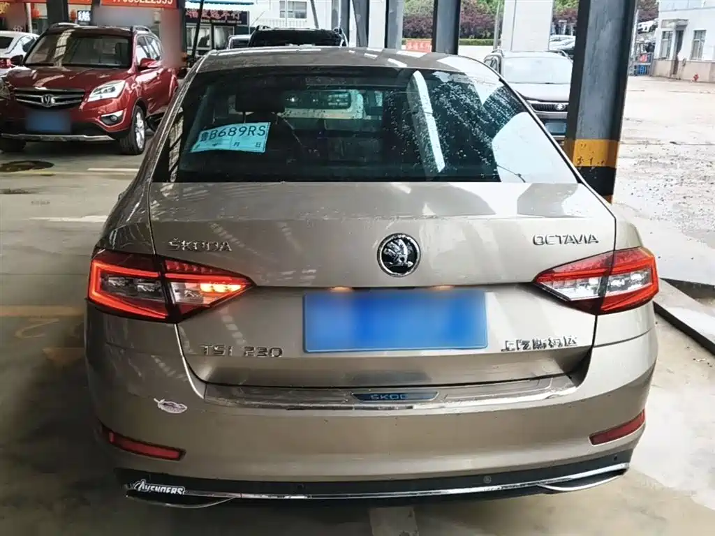 Škoda Octavia 2018 TSI230 DSG Luxury Edition фото 6