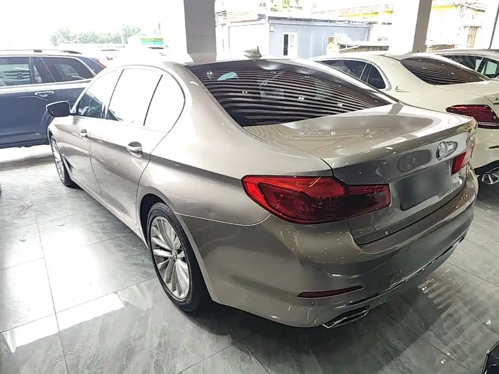 BMW 5 Series 2020 525Li Luxury Package фото 5
