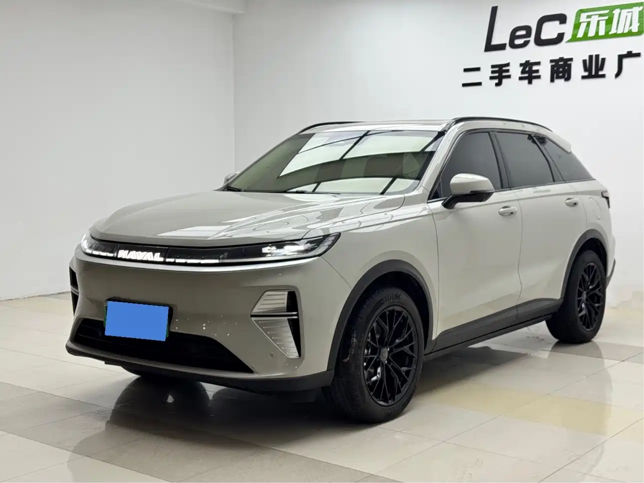 Haval Xiaolong MAX 2026 2025 Hi4 110 Pro