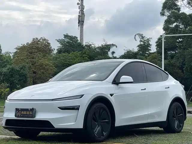 Tesla Model Y 2025 Rear-Wheel Drive — фото 1