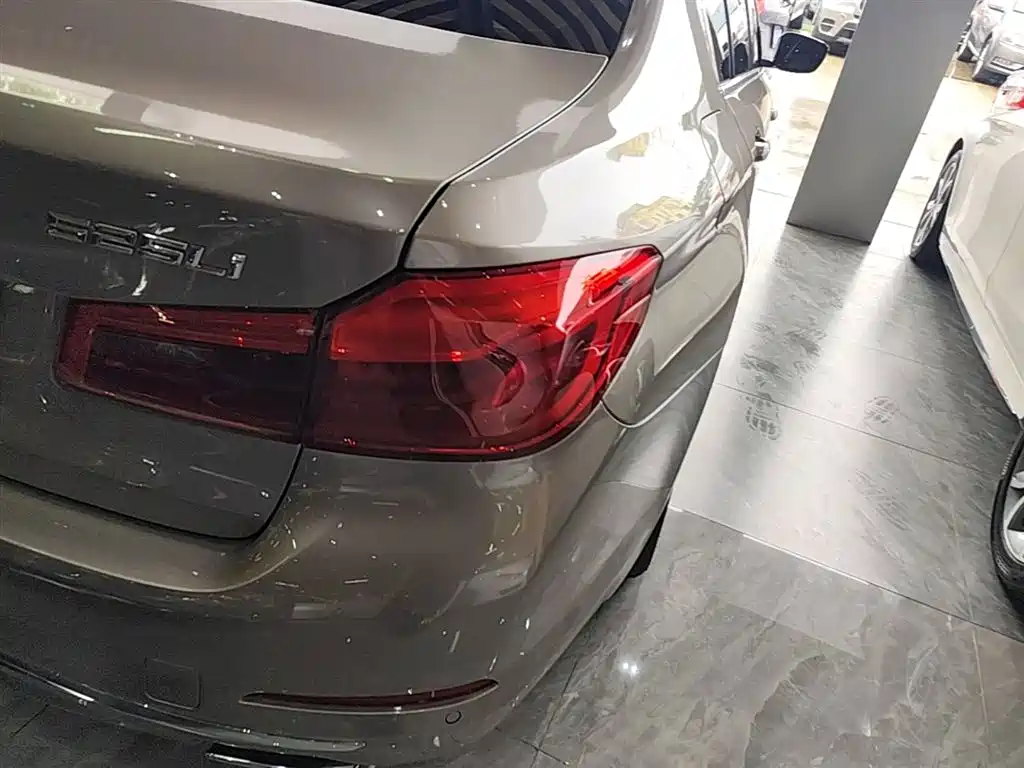 BMW 5 Series 2020 525Li Luxury Package фото 8