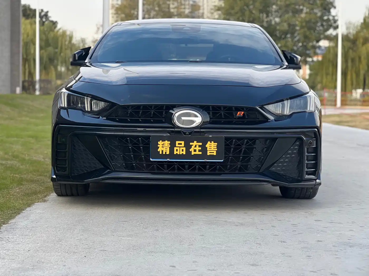 GAC Trumpchi Trumpchi Emkoo 2025 270T DCT Shadow Leopard R-Style Sport фото 2