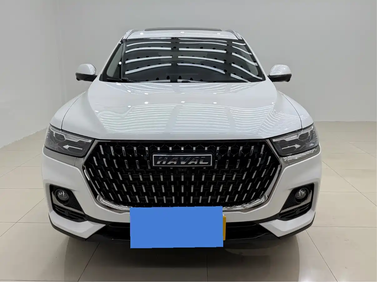 Haval H6 2023 National Trend Edition 1.5T Automatic Urban фото 2