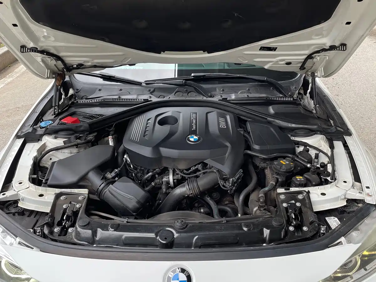 BMW 3 Series 2018 320Li Leading M Sport Package фото 16