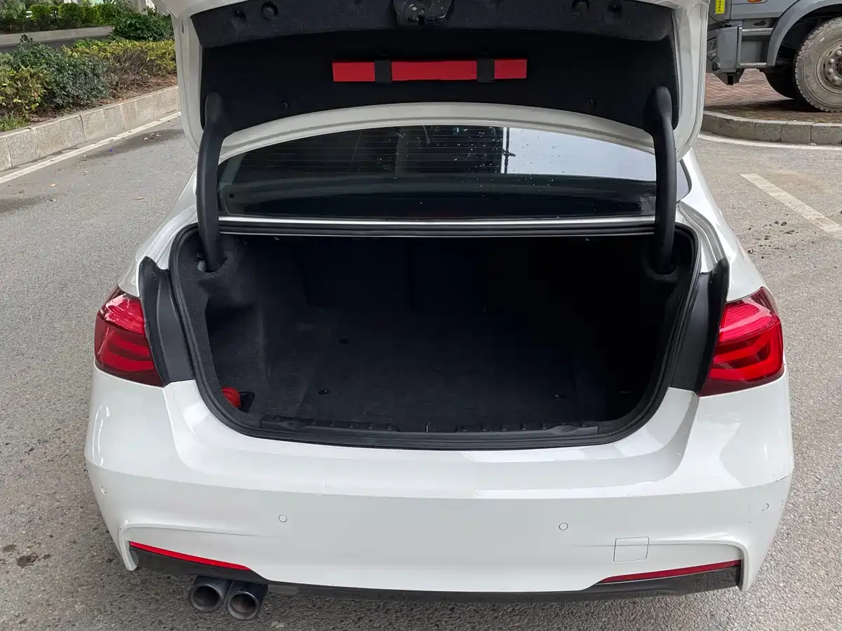 BMW 3 Series 2018 320Li Leading M Sport Package фото 13