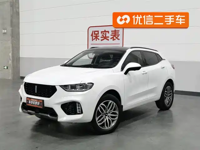 WEI PAI WEI BRAND VV5