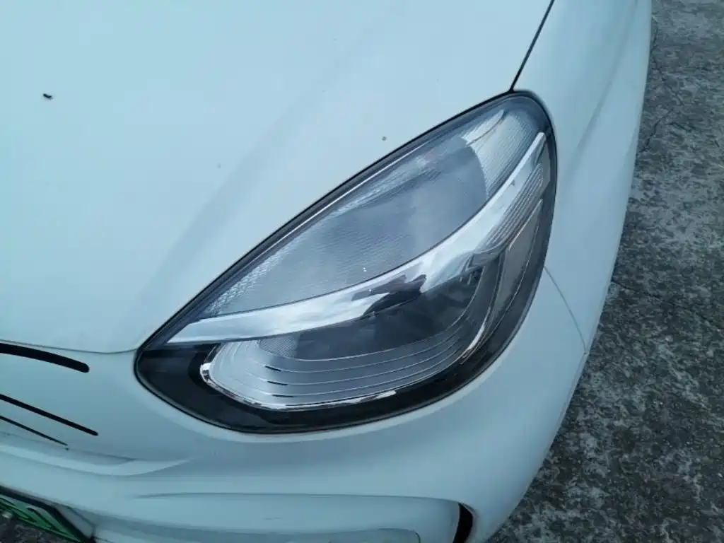 Roewe Clever 2023 2022 311km Vitality Bobo Edition