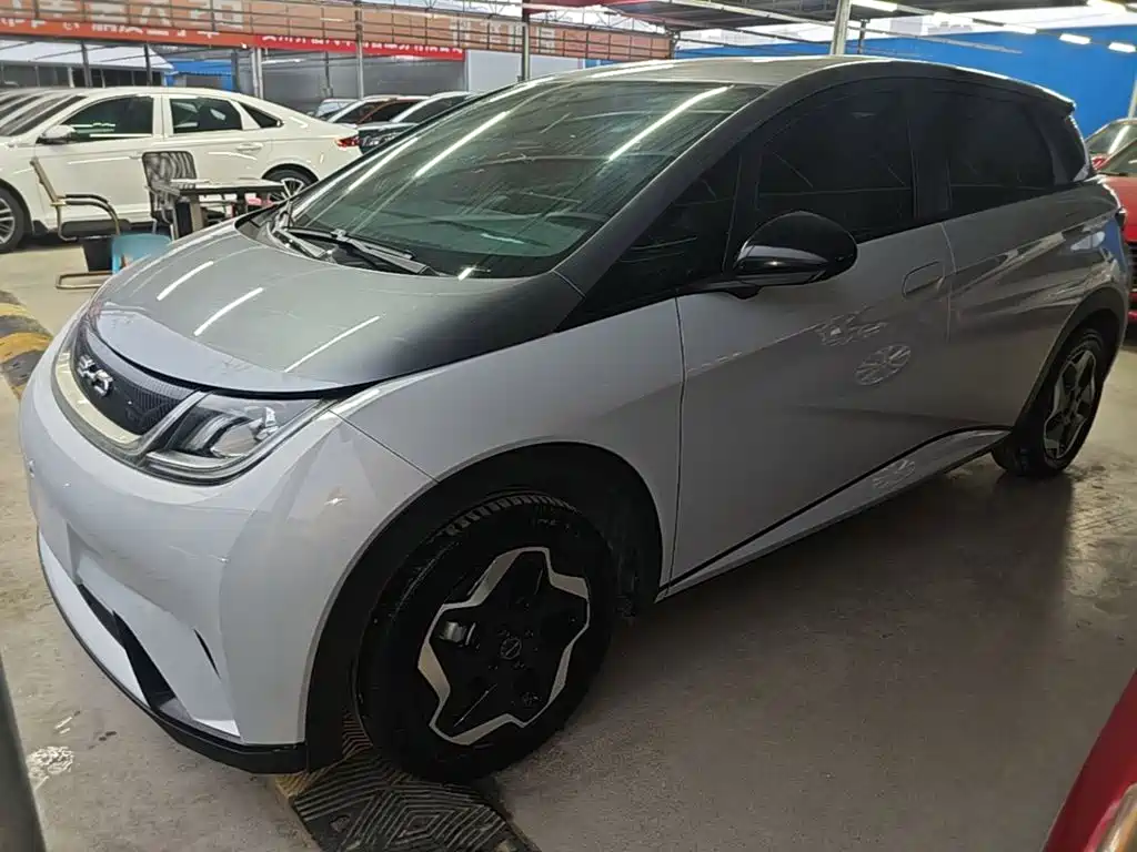 BYD Dolphin 2021