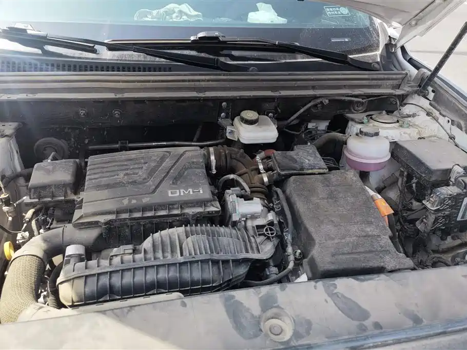 BYD SONGJIANG NEW ENERGY