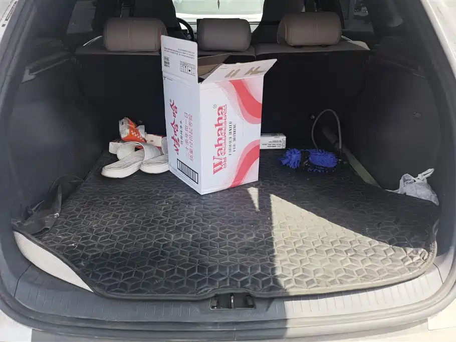 BYD SONGJIANG NEW ENERGY