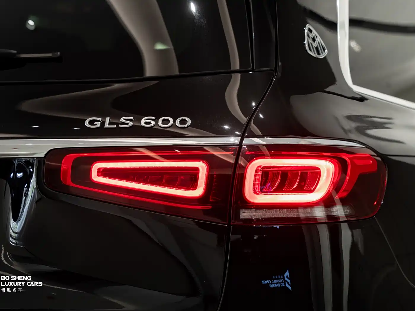Mercedes-Benz Maybach GLS 2022 GLS 600 4MATIC Ceremony Edition фото 11
