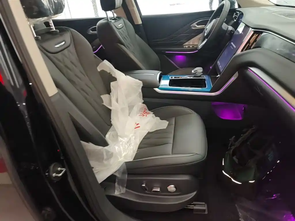 Hongqi HS7 PHEV 2024 2.0T PHEV 4WD Flagship Edition 6-seater фото 25