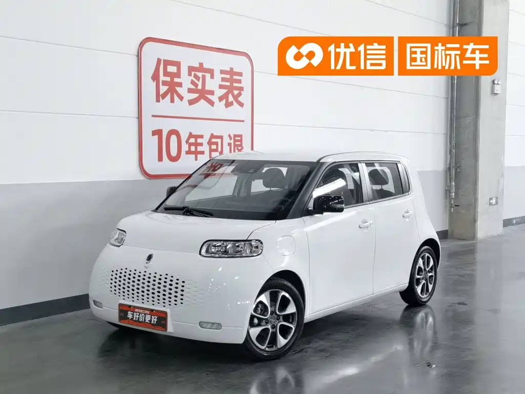 Ora White Cat 2021 2020 401km Flagship Model