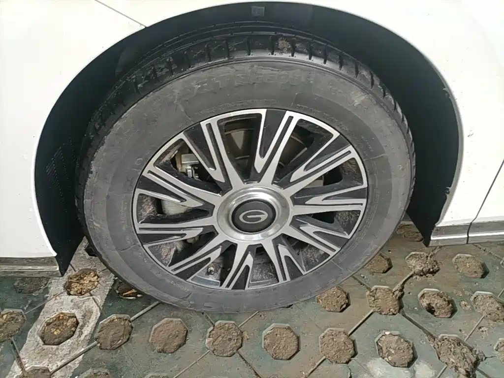 GAC Trumpchi Trumpchi E9 2023 E9 Champion Edition фото 23