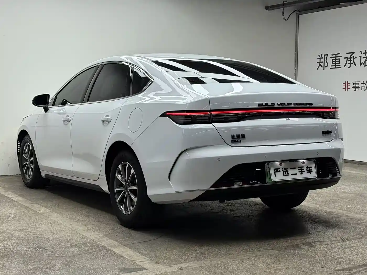 BYD Destroyer 05 2024 Glory Edition DM-i 55KM Luxury фото 6