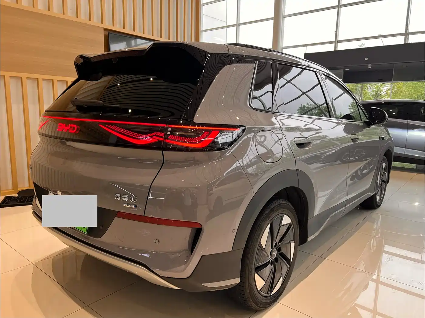 BYD Hai Shi 05 EV 2025 520KM Flagship Smart Navigation Edition фото 9