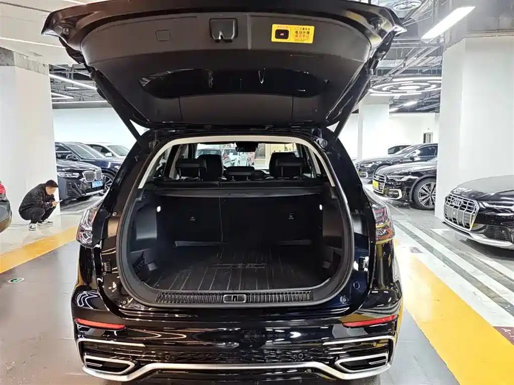 Hongqi HS5 2023 2.0T Flag Enjoy Pro Edition фото 6