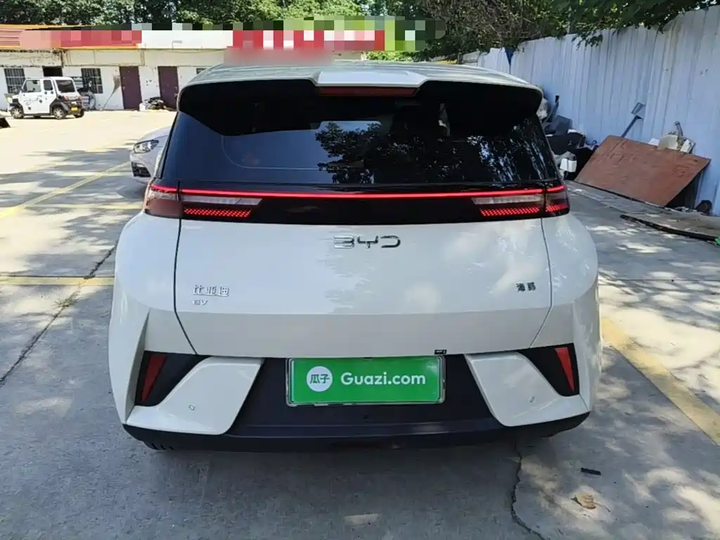 BYD Seagull 2026 2025 Smart Drive Edition 305km Vitality Version