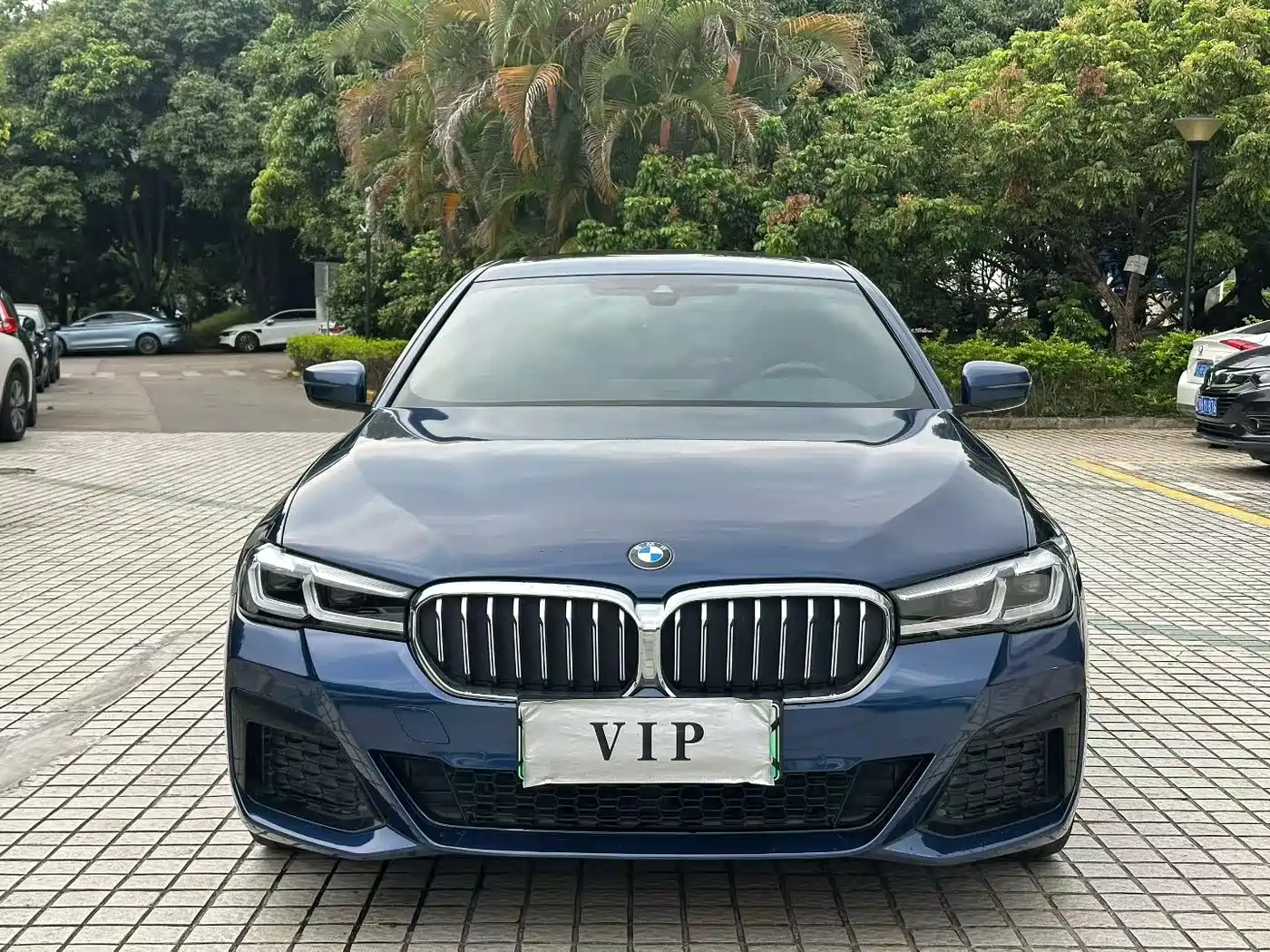 BMW 5 SERIES NEW ENERGY