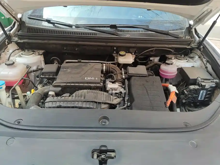 BYD SONGJIANG NEW ENERGY