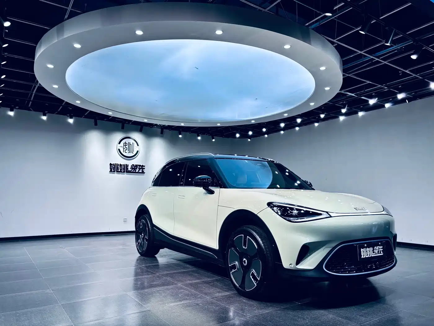 smart Elf #1 2024 2024 Premium Edition