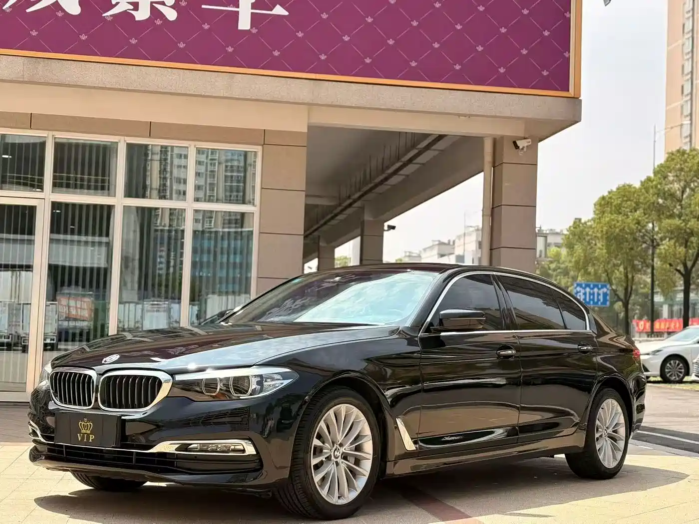 BMW 5 Series 2018 530Li Leading Luxury Package фото 10