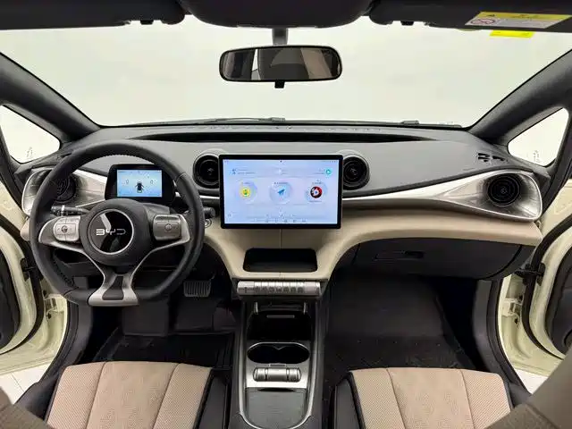 Фото 2 - BYD Dolphin