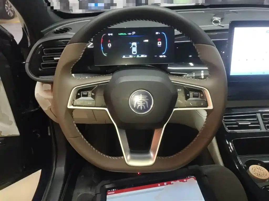 BYD Qin PLUS 2024 Glory Edition DM-i 55KM Leading фото 11