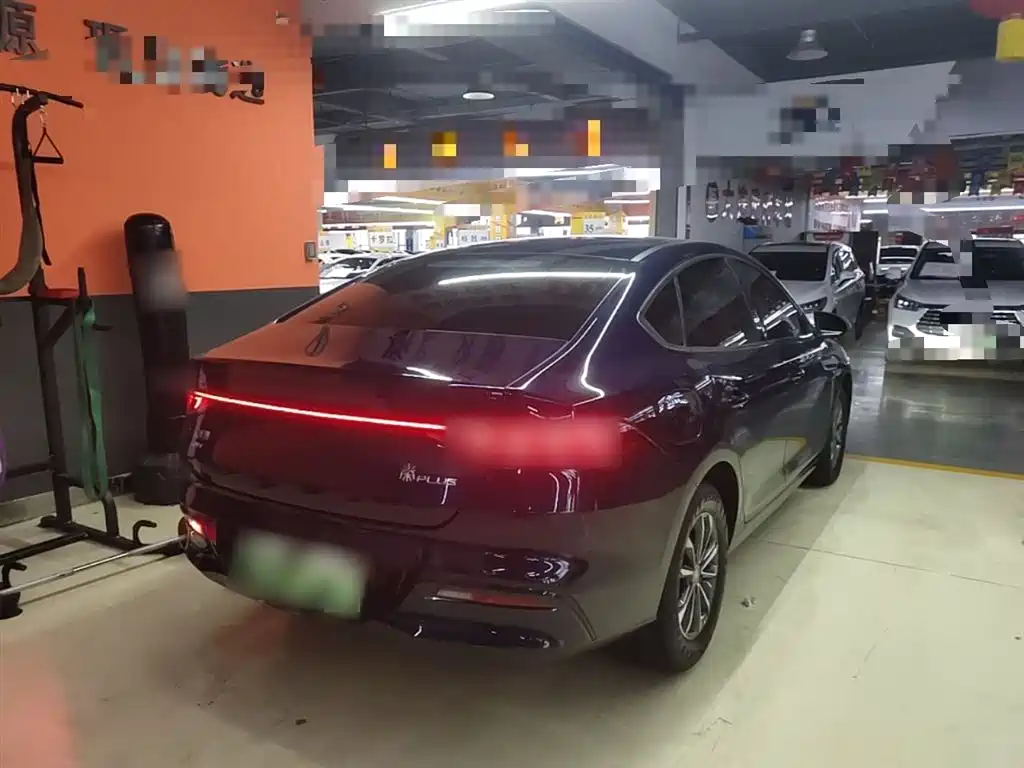 BYD Qin PLUS 2024 Glory Edition DM-i 55KM Leading фото 7