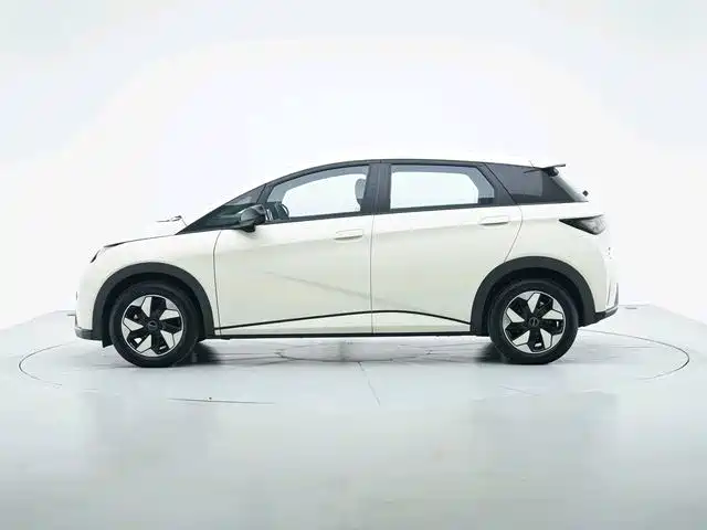 BYD Dolphin 2026 2025 420km Freedom Edition