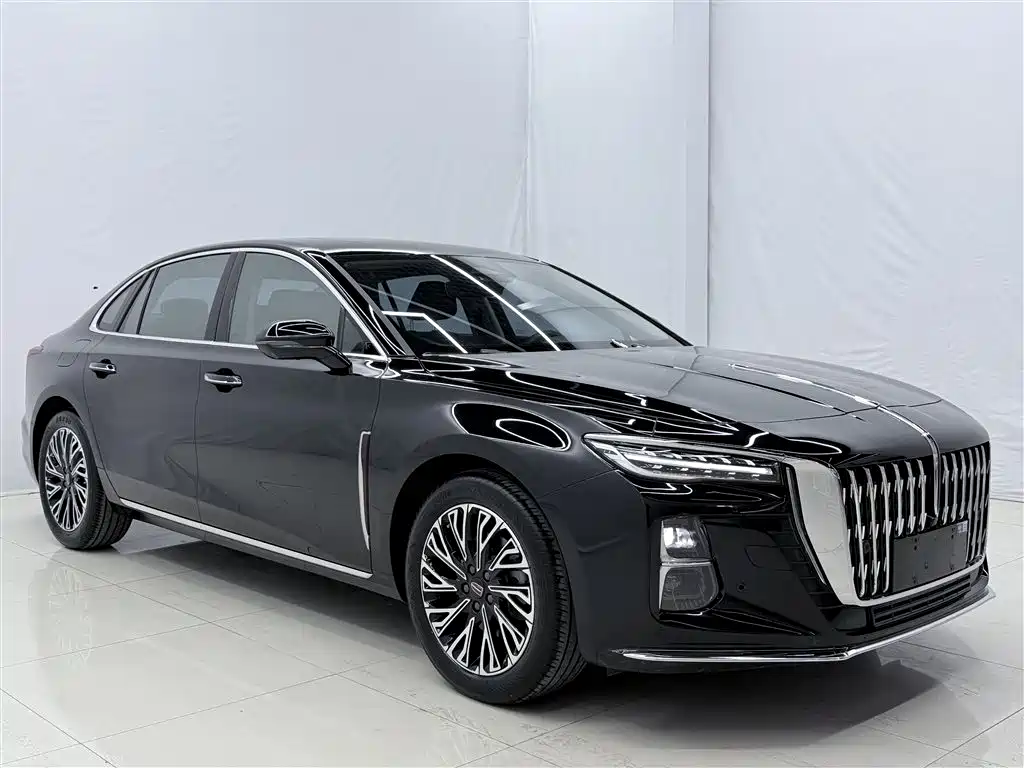 Hongqi H5 2024 2.0T Automatic Smart Connect Flag Smooth Edition фото 9