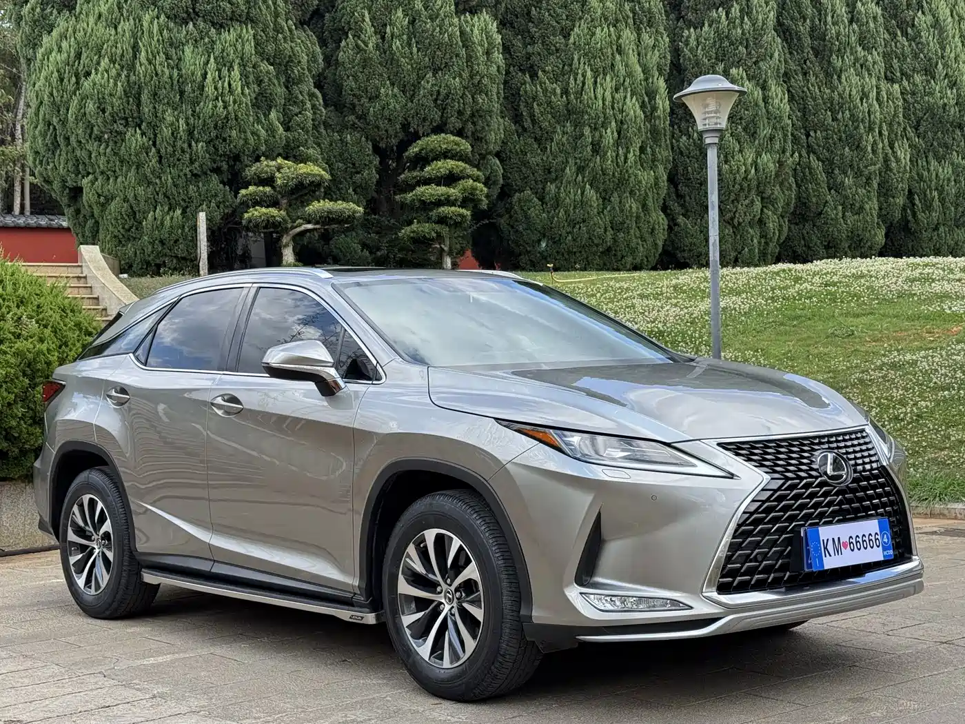 LEXUS RX